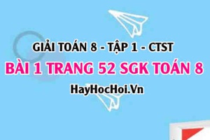 Giải bài 1 trang 52 Toán 8 Tập 1 SGK Chân trời sáng tạo